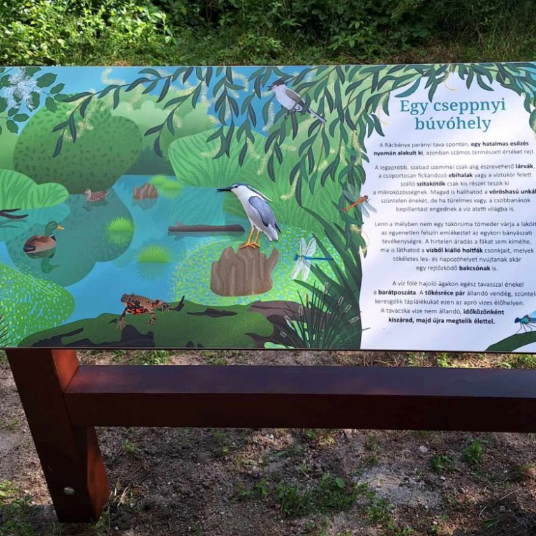 Tanösvénytábla 3D elemekkel - 2