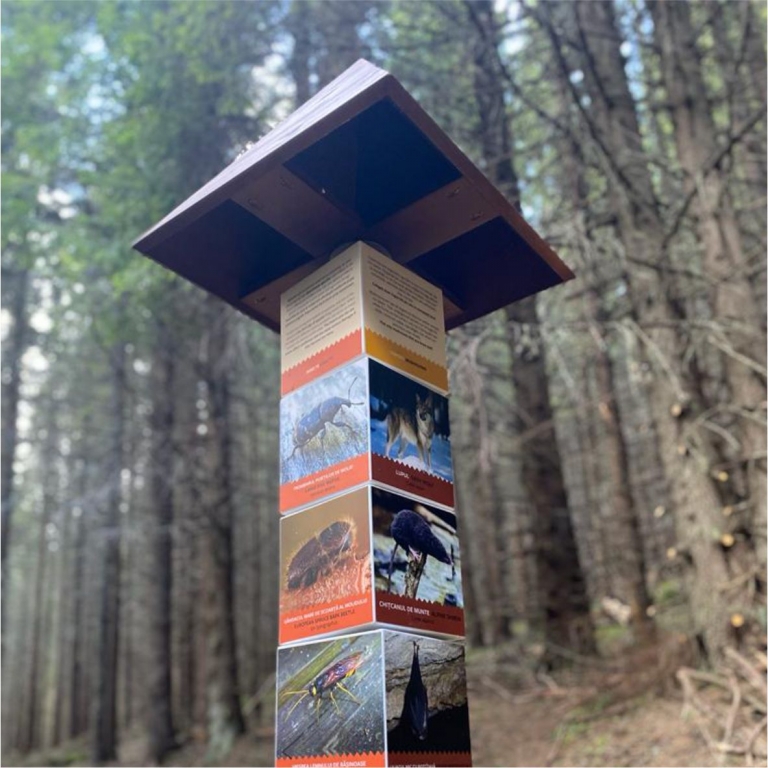 Forgatós oszlop a Bucsecs-hegység állataival