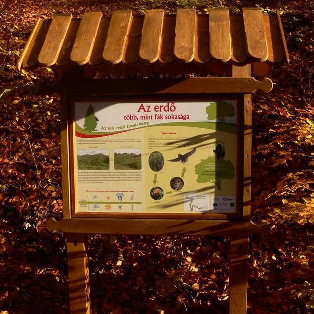 A Sárgaliliom tanösvény egyik táblája