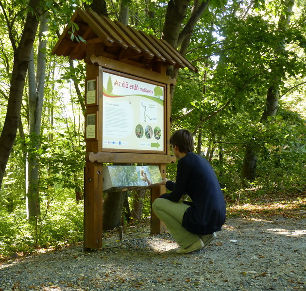 Tanösvény tábla panoráma forgatóval