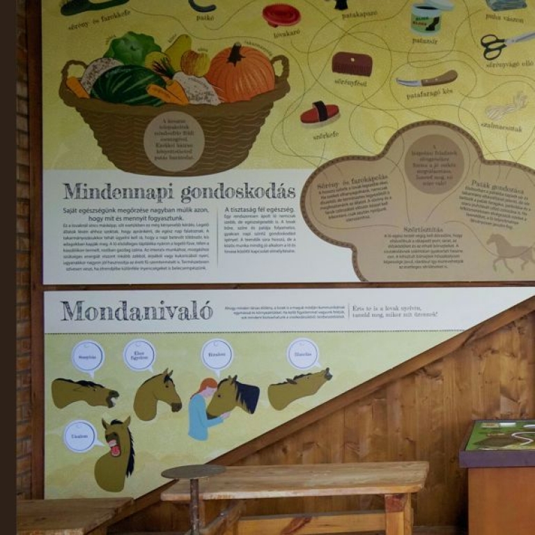 A kiállítás egy részlete