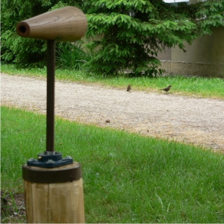 Monocular installed on a tunk - Monoculare installato su un tronco