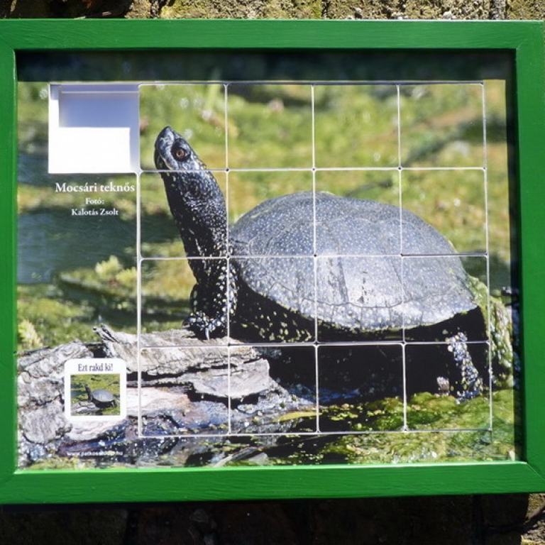 Sliding square puzzle - Gioco del quindici - 3