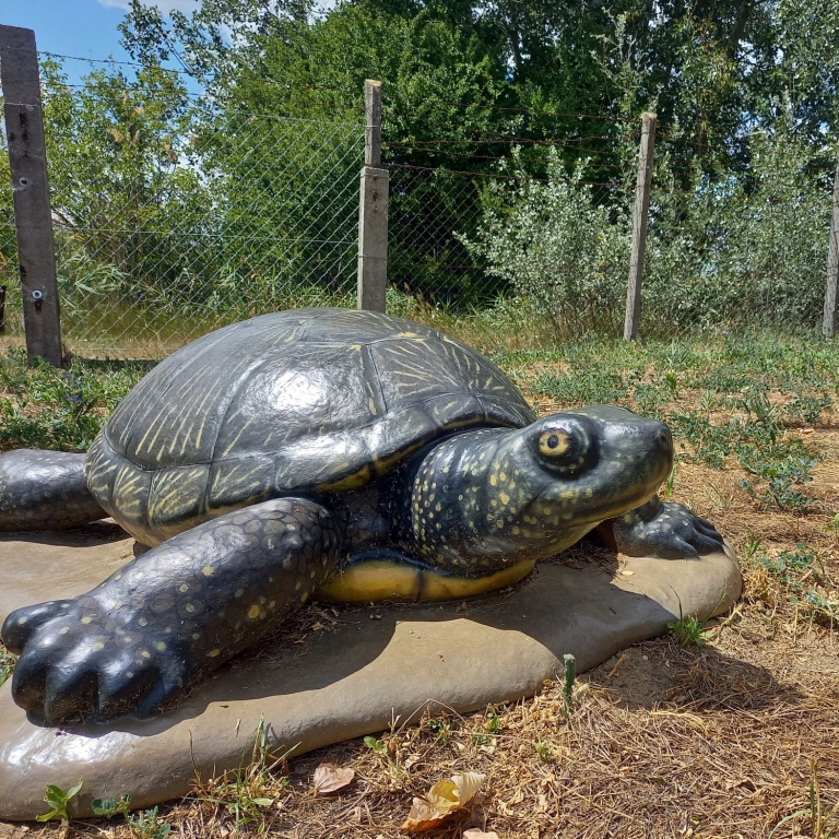 Mocsári teknős óriásszobor a Madárvárta udvarán
