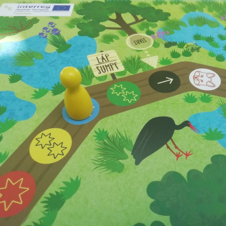 Társasjáték tábla - Gyűjtögetés erdőn-mezőn