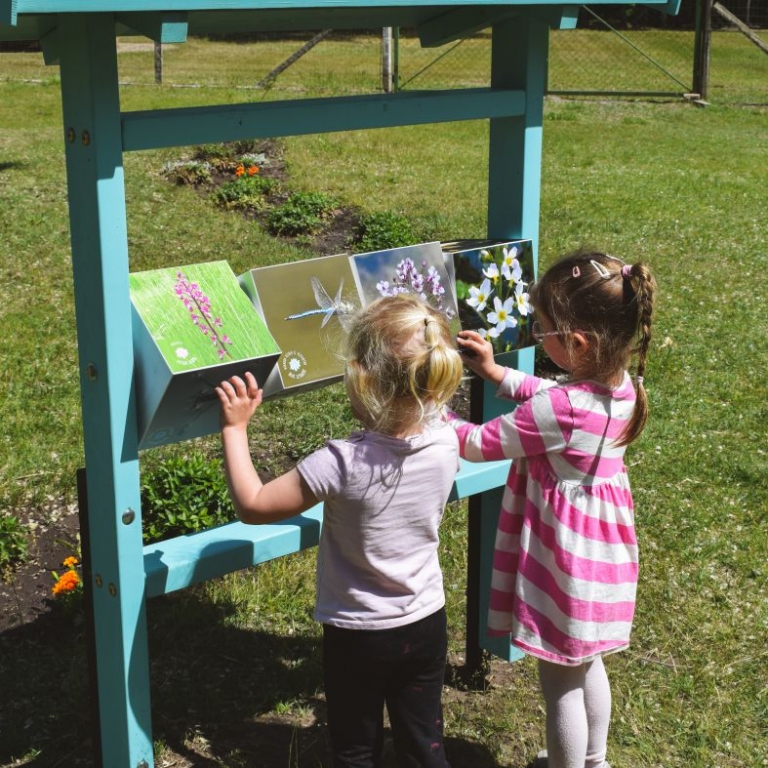 Panorámaforgató a környék állataival