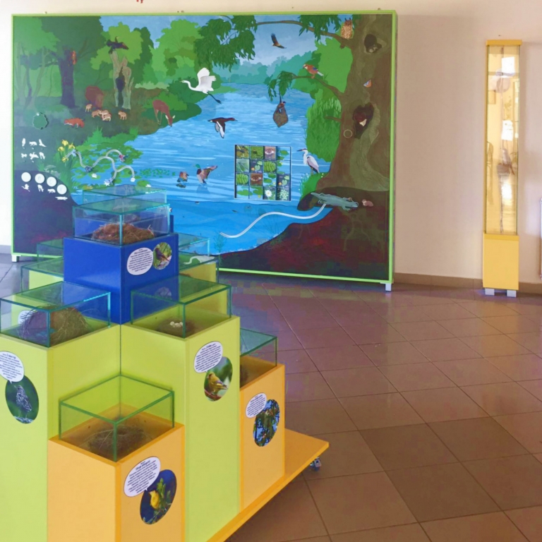 The interactive wall and the nest-models – La parete interattiva e l' installazione dei nesti