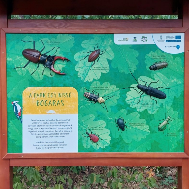 Tanösvénytábla 3D rovarokkal - 02