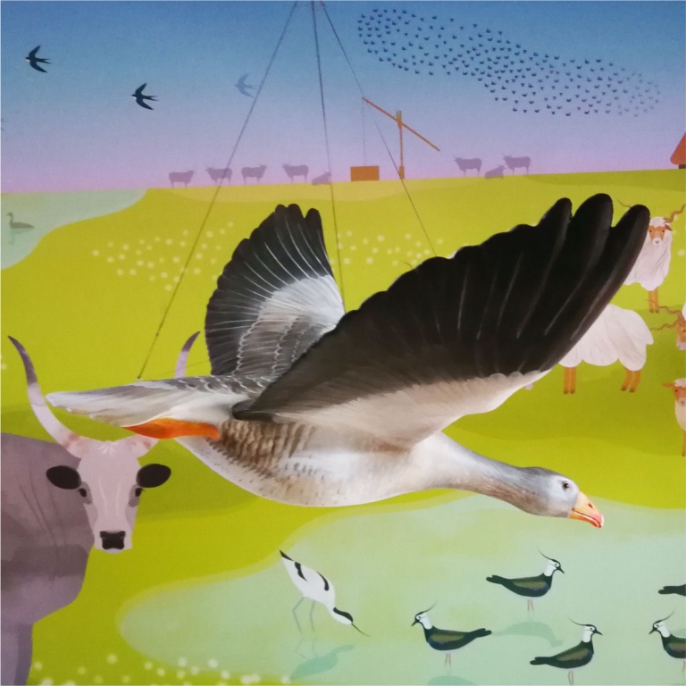 Élethű madárszobor az Erdei Iskola mennyezetéről lógatva