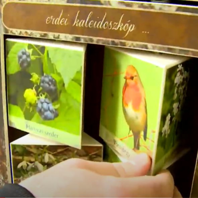 Embed Interaktív tanösvényeink az országban – Patkós Stúdió