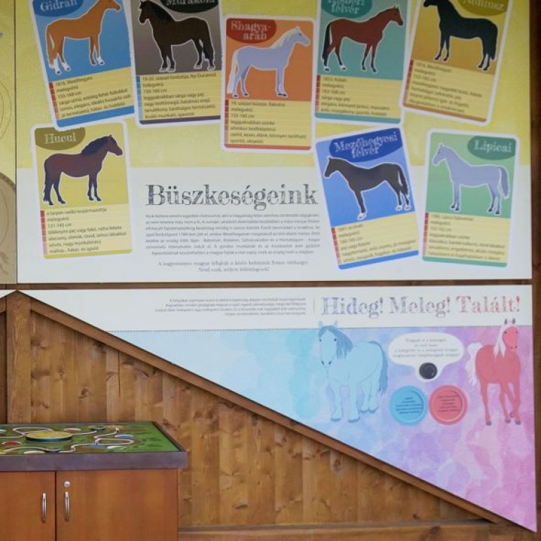 A kiállítás egy részlete