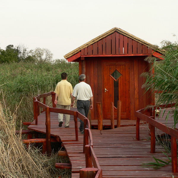 A nádasben pallósor vezet a madármegfigyelő kisházhoz
