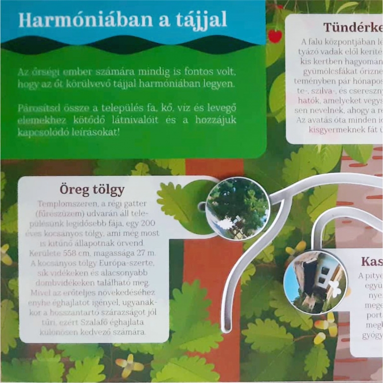 Interaktív tábla a természeti értékekről - 1