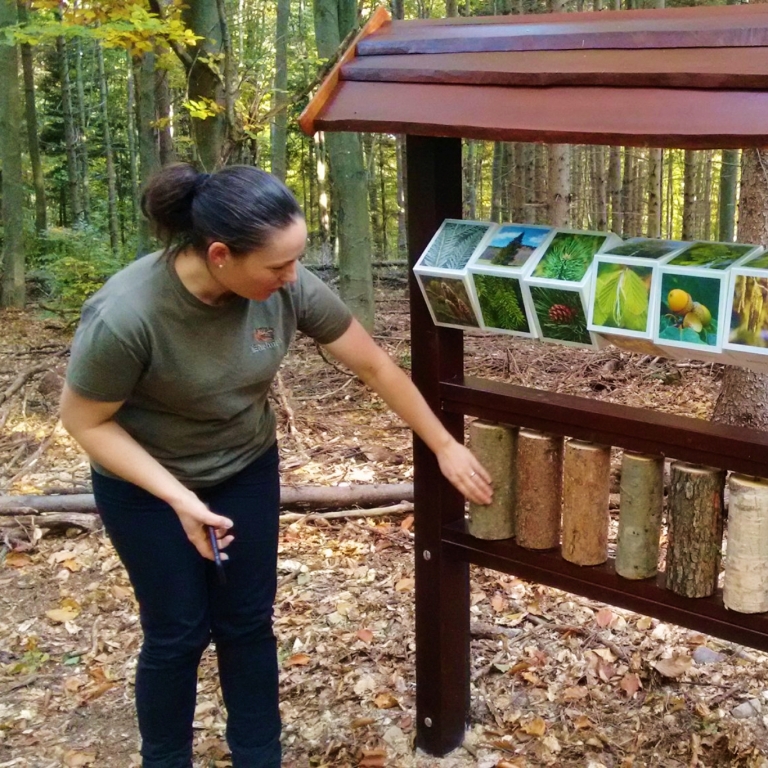 Interactive installation with trunks – Installazione con tronchi