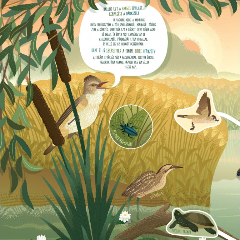 Tanösvénytábla a nádirigóról - részlet