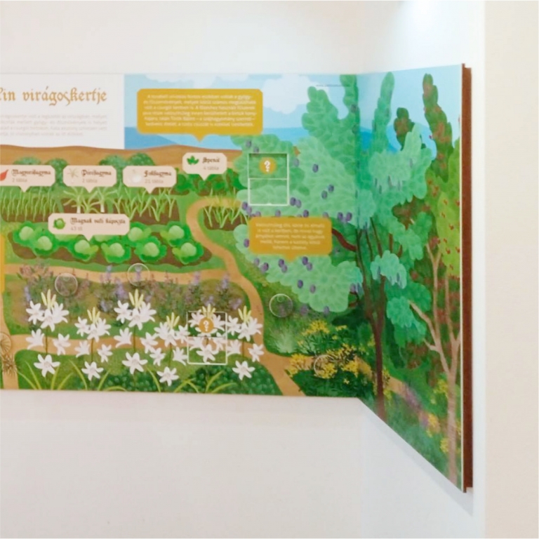 Interaktív kiállítási tábla a gyógynövényekről - 2