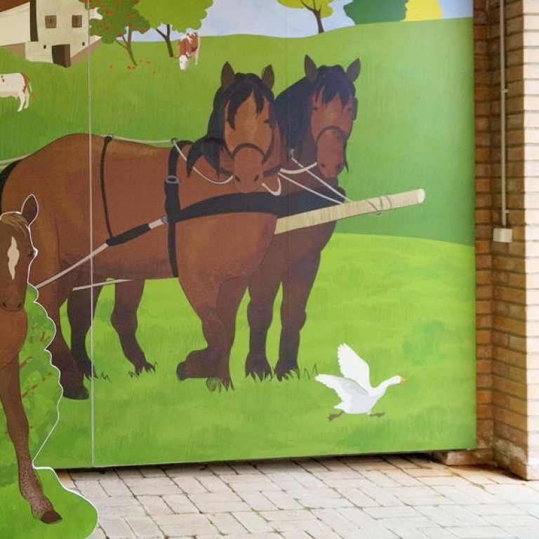 Óriás fotófal kiscsikóval - 2