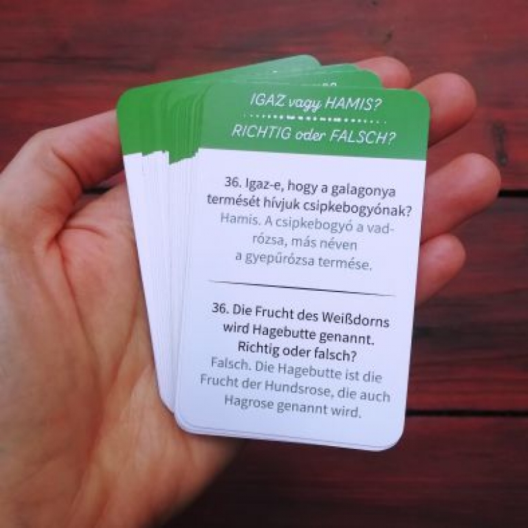 Társasjáték kártyák - Pannon puzzle