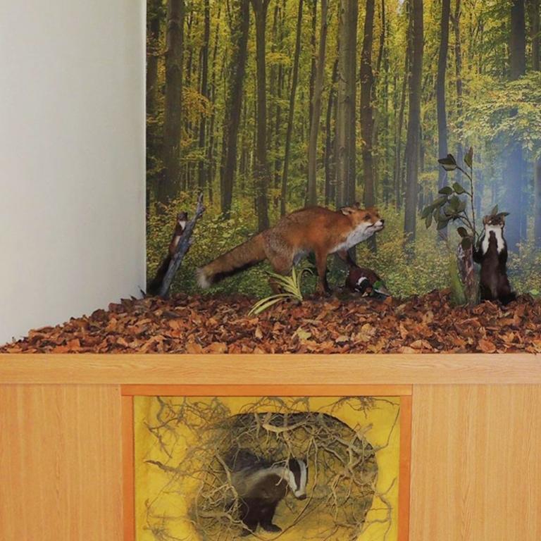 Animals of the forest - Gli animali della foresta