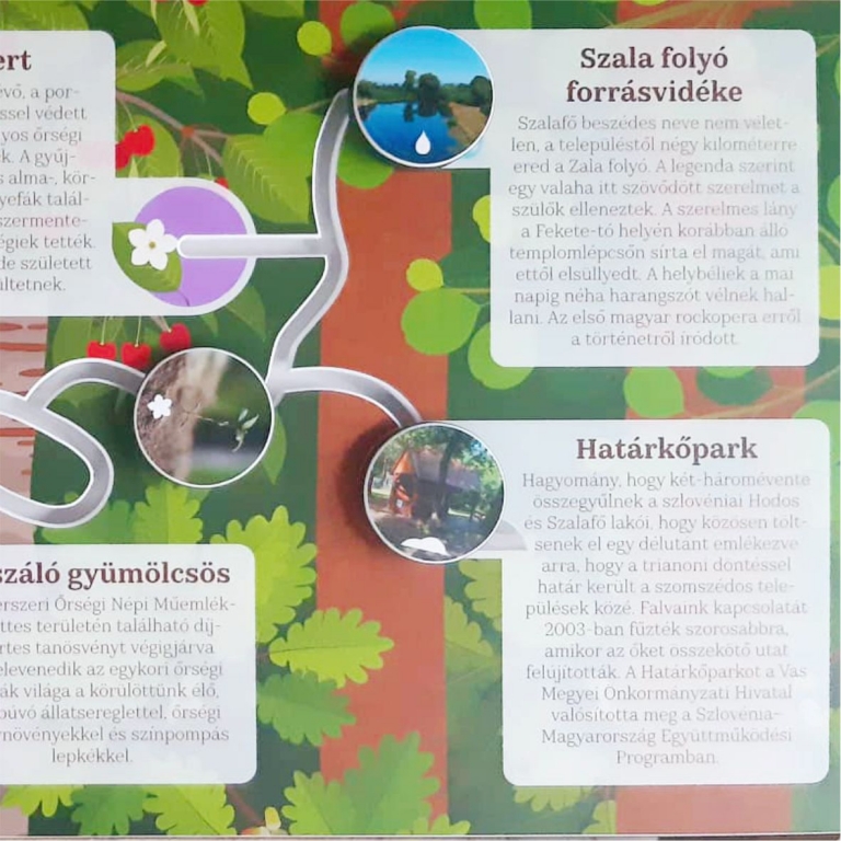 Interaktív tábla a természeti értékekről - 2