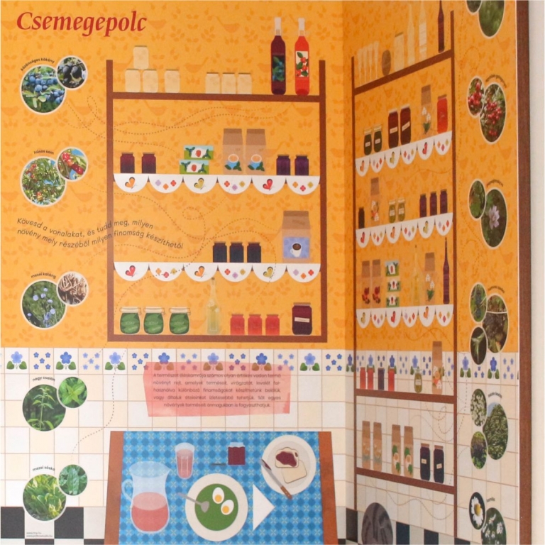 Kamrapolc a beltéri kiállításban