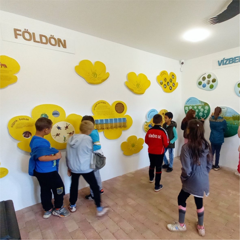 A kiállítást felfedezik a gyerekek