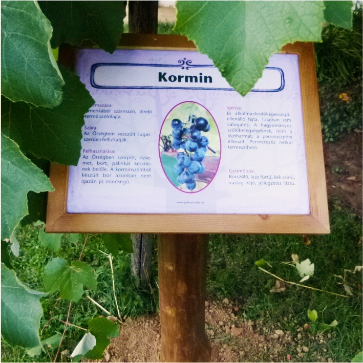 Ismerd meg a gyümölcsfákat!