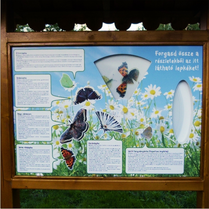 Forgasd össze és ismerd meg az Őrség lepkéit!