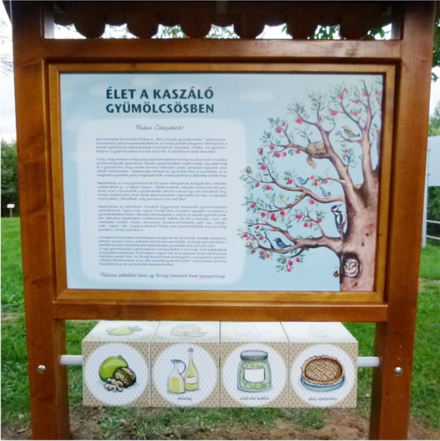 Köszöntünk az Őrségben!