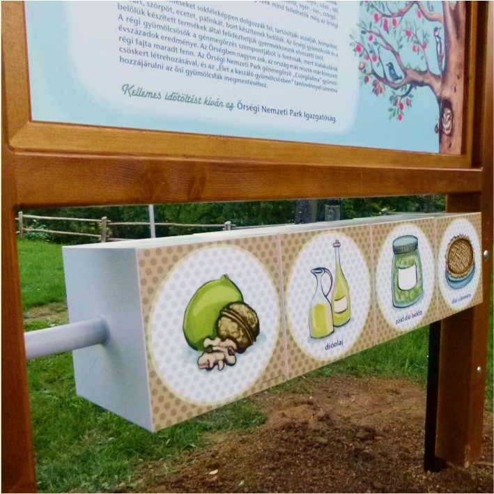 Az Őrség gyümölcsei - forgatható kockák a tábla alatt