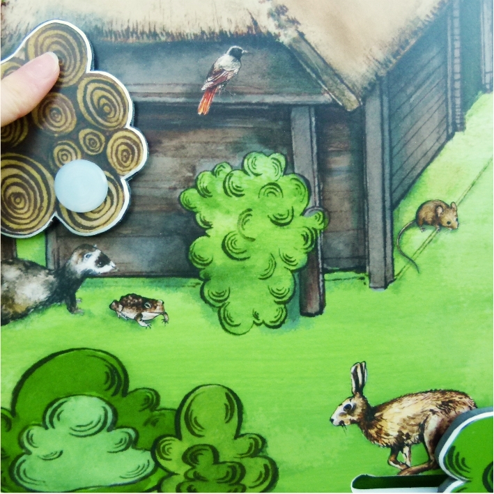 Találd meg a ház körül élő állatokat 1