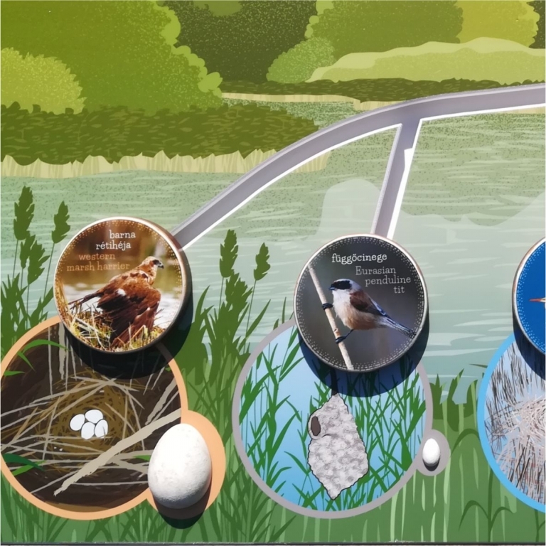 Eggs 3D on an educational trail board - Uova su un pannello educativo - 1