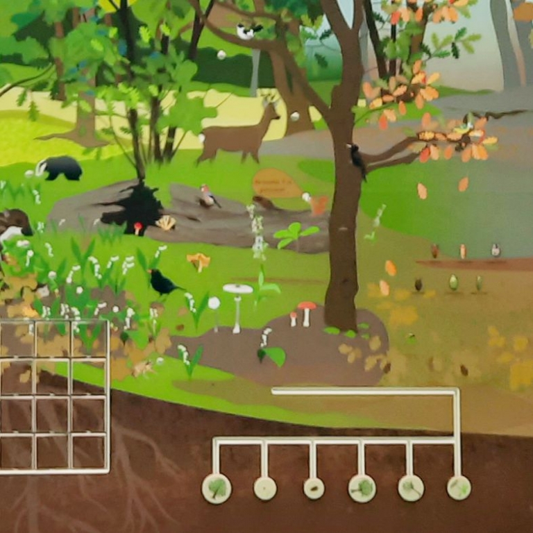 Az erdő állatai interaktív fal - 3