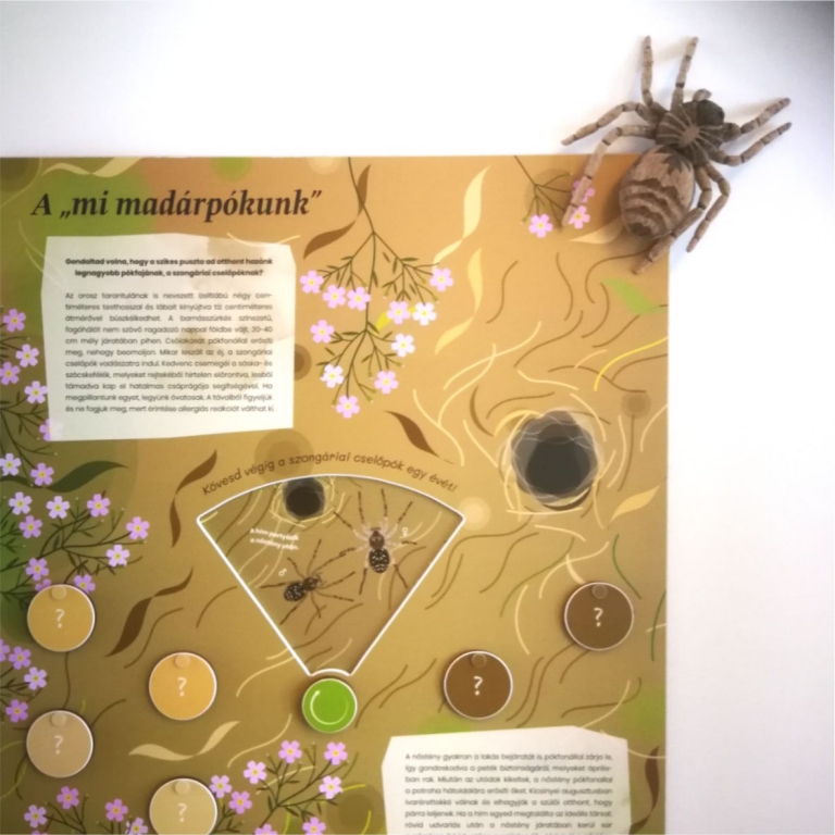 Interaktív beltéri tabló egy hatalmas textilpókkal