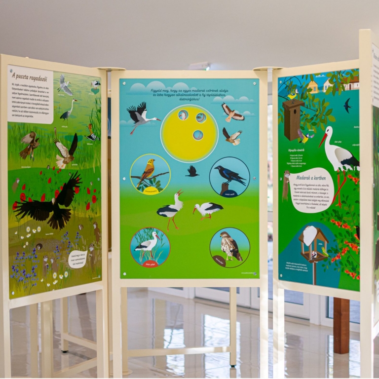 A kiállítás tablói