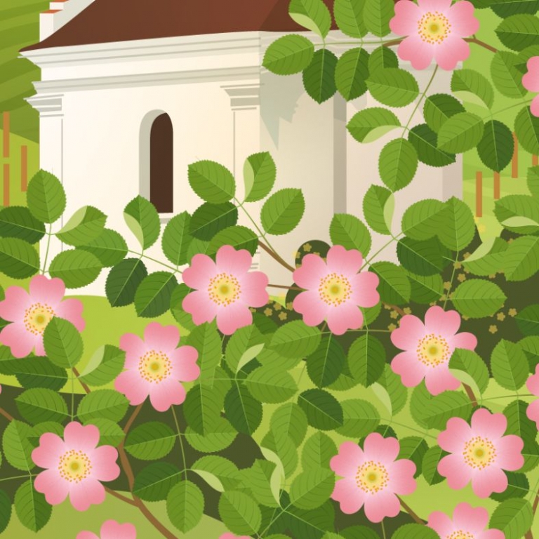 Részlet a grafikából - 2