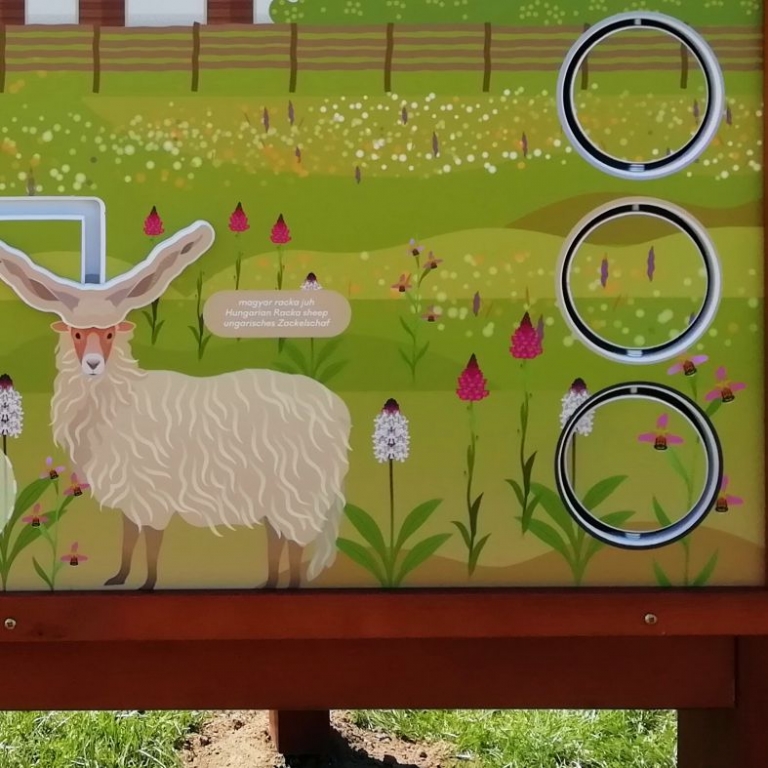 Interactive board - Pannello interattivo - 4