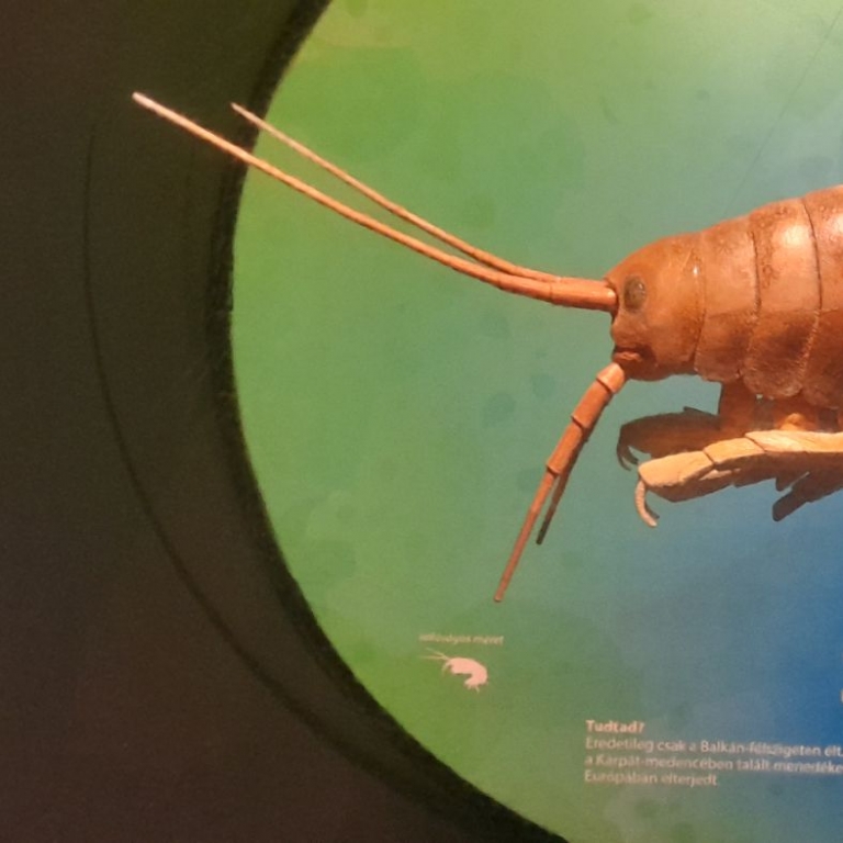 3D makett kézzel festve