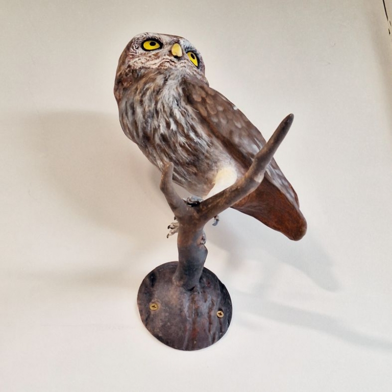 3D bagoly a kiállításban