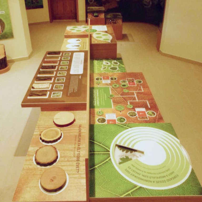 Learning through play - Studiare giocando