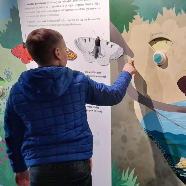 Interaktív fal hangokkal és kukucskáló nyílással - 01