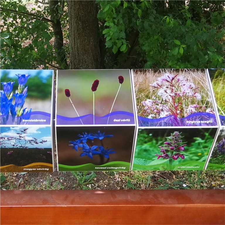 Panorámaforgató az udvaron