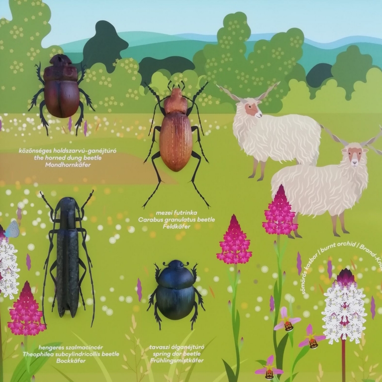 Board with 3D insects