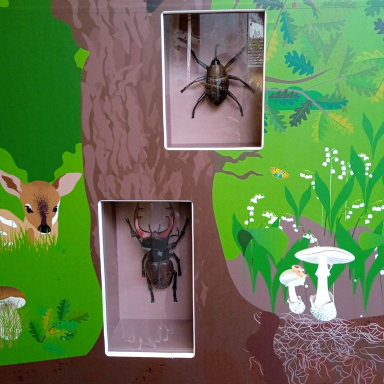 3D makettek az interaktív falba építve