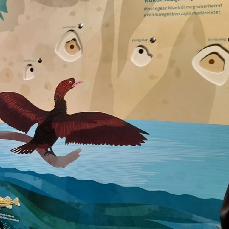 Interaktív fal hangokkal és kukucskáló nyílással - 02