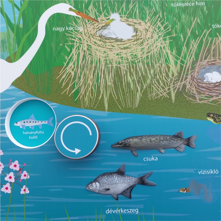 Tanösvénytábla 3D halakkal