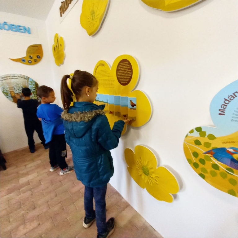 Interaktív tábla a madarakról