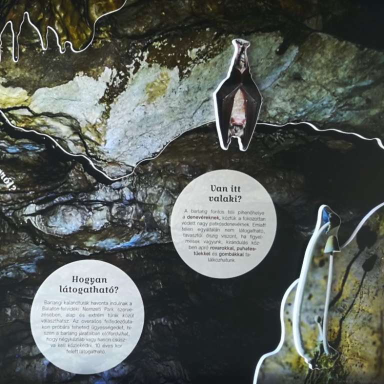 Részlet a szentgáli grafikából - 2