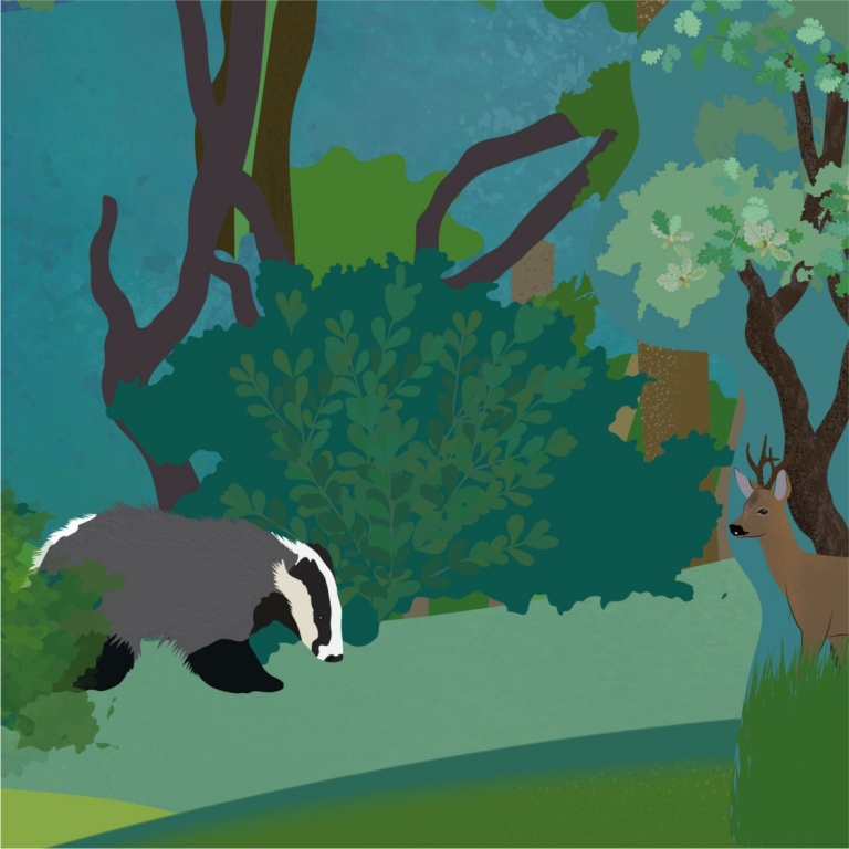 Részlet a grafikából - 3