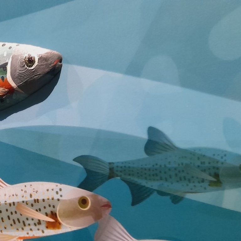 3D hal kézzel festve a tablón - 02